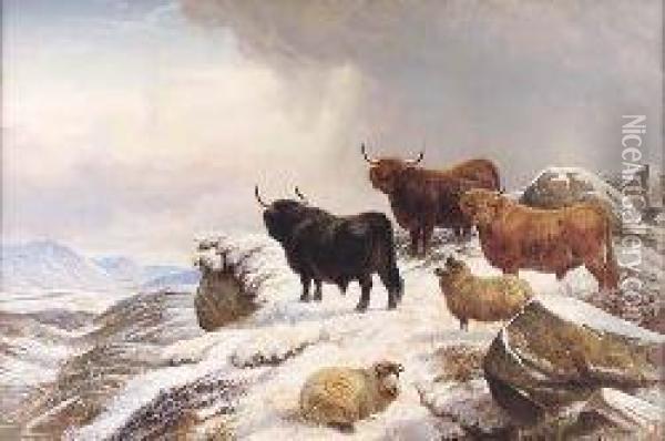 Highland Cattle And Sheep In A Snow Covered Highlandlandscape Oil Painting - Charles Jones