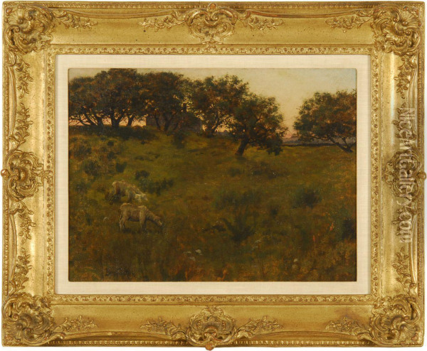Sheep In A Sunset Meadow Oil Painting - Ben Foster