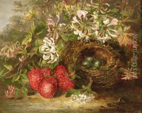 Still Life With Bird's Nest And Strawberries Oil Painting - Julia Cornelia Widgery Griswald Slaughter