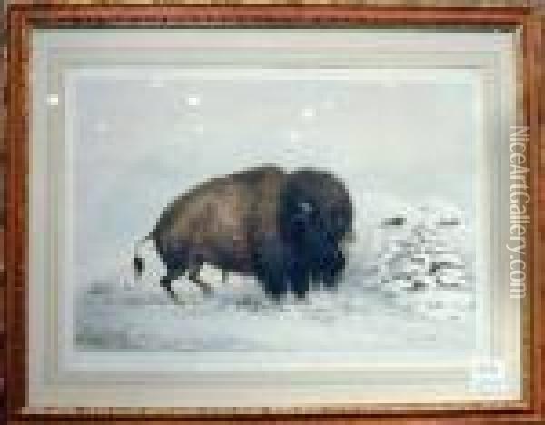 Buffalo Hunt Oil Painting - George Catlin