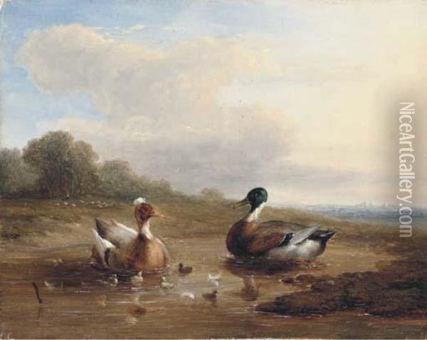 At The Duck Pond Oil Painting - Franz van Severdonck