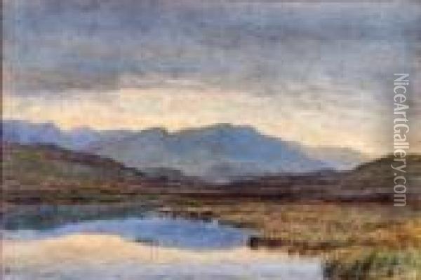 Lake And Mountain Landscape With Marshes In The Foreground Oil Painting - Henry Albert Hartland