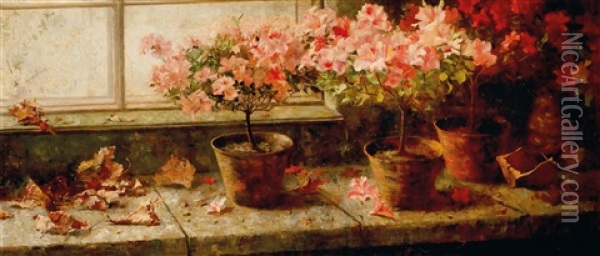 Flowering Azaleas By The Window Oil Painting - Marie Egner