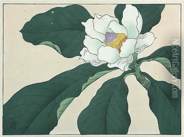 Magnolia Oil Painting - Sakai Hoitsu