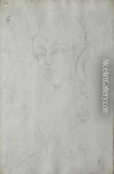 Bozzetto Per L' Amazzone Oil Painting - Amedeo Modigliani