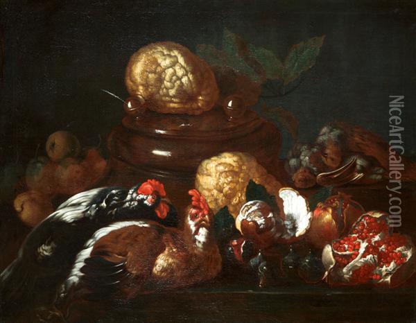 Nature Morte De Fruits, Gibier Et Gallinaces Oil Painting - Niccolo Cassana
