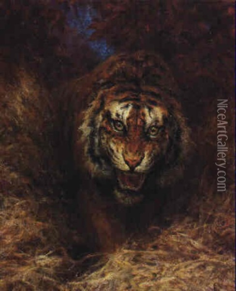 Tiger In The Grass Oil Painting - William Huggins