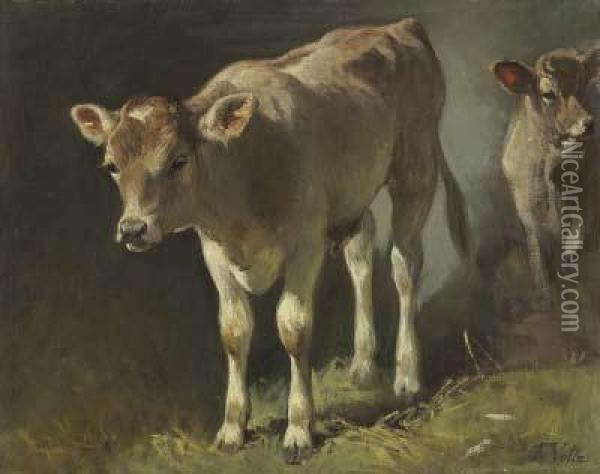 Zwei Kalber Oil Painting - Friedrich Johann Voltz