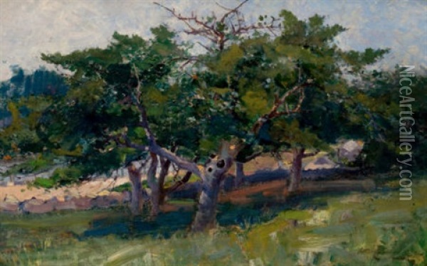 Landscape With Trees Oil Painting - Arthur Cumming