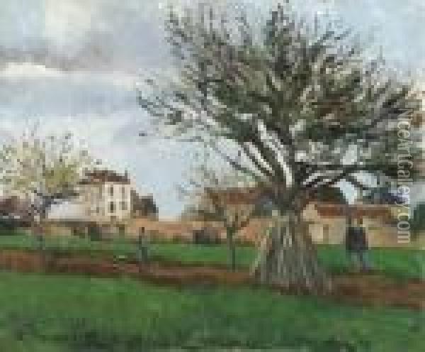 Pommiers Pontoise (la Maison Du Pre Gallien) Oil Painting - Camille Pissarro