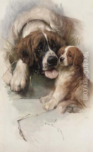 A St. Bernard And Puppy Oil Painting - Arthur Wardle