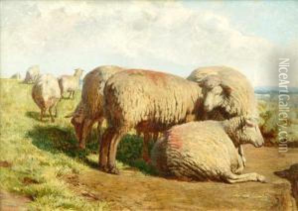 A Group Of Sheep Oil Painting - Daniel Alexander Williamson