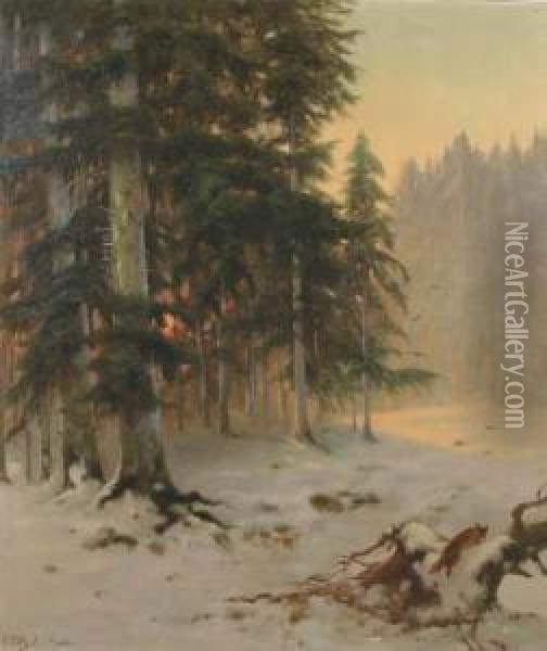 Fox In A Forest Oil Painting - Olga Von Potthast Minden