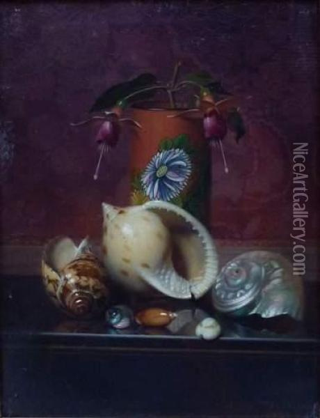 Nature Morte Aux Coquillages Oil Painting - Auguste Joseph Marie De Mersseman