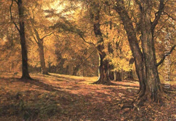 Amongst The Beeches Oil Painting - William Samuel Jay