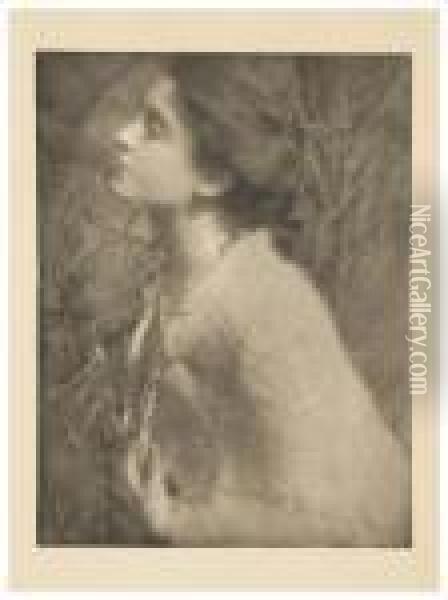 Selected Plates From 
Camera Work Oil Painting - Alfred Stieglitz