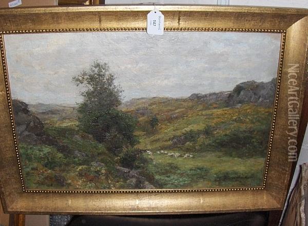 Sheep On Dartmoor Oil Painting - Richard Gay Somerset