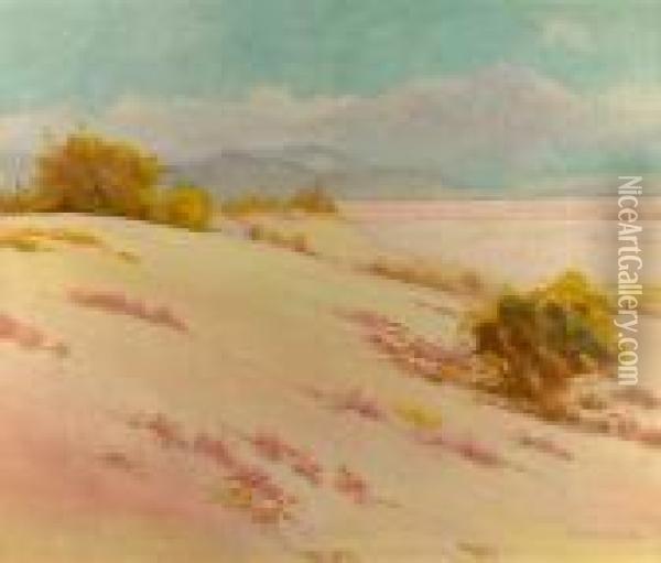Desert In Bloom Oil Painting - Gordon Coutts