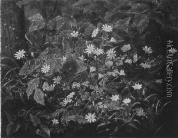 Waldstilleben Mit Buchen- Und Eichenzweigen Oil Painting - Anthonie Eleonore (Anthonore) Christensen