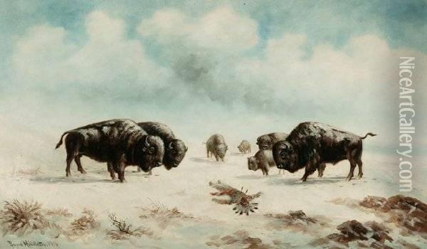 Buffalo And Indian On Snowy Range Oil Painting - Astley David Middleton Cooper