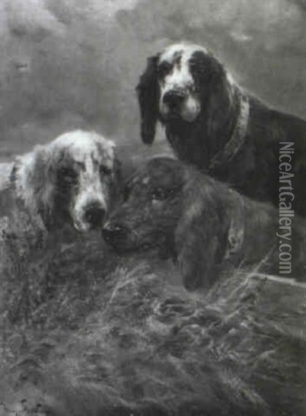 Drei Jagdhunde Oil Painting - Henry Schouten