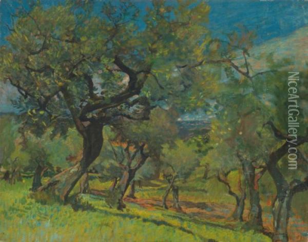Uliveta Al Tramonto Oil Painting - Mario Puccini