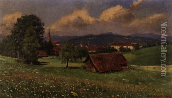 Villa Fadengrad (zofingen) Oil Painting - Johann Othmar Doebeli