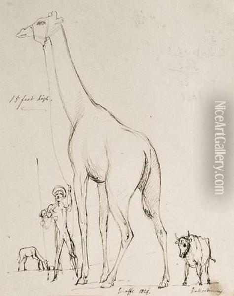 La Girafe De La Menagerie Du Jardin Des Plantes Oil Painting - Sir George Hayter