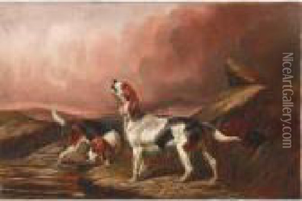 Hunting Dogs Oil Painting - Colin Graeme Roe