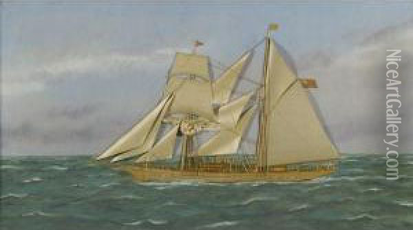 A Schooner In Open Seas Oil Painting - Thomas Willis