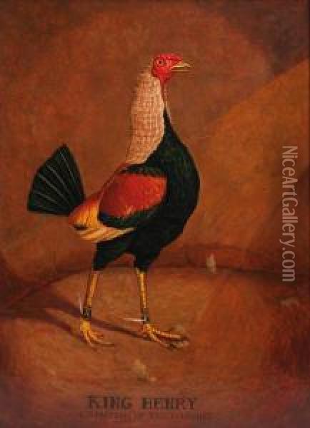 King Henry, A Fighting Cock Oil Painting - Henry Thomas Alken