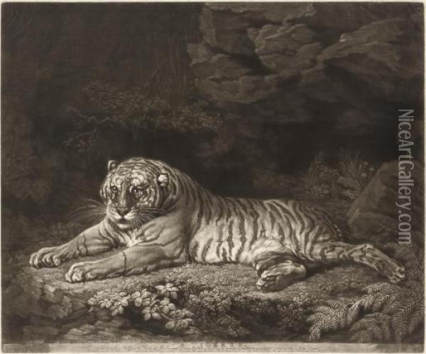 A Tigress Oil Painting - John Dixon