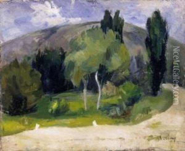 Hillside In Zebegeny Oil Painting - Robert Bereny