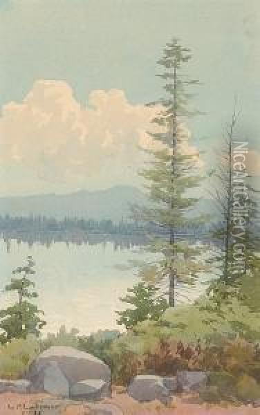 Pine Trees On The Lake Shore Oil Painting - Lorenzo Palmer Latimer