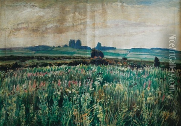 Meadows Oil Painting - Antonin Hudecek