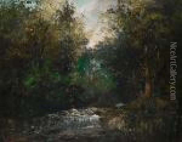 Riviere Sous Bois Oil Painting - Gustave Courbet