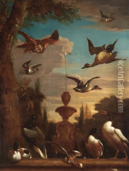 Springbrunnen Mit Allerlei Federvieh Oil Painting - Melchior de Hondecoeter