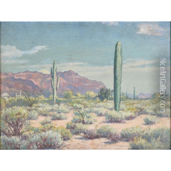 Apache Junction Arizona Oil Painting - Frank Convers Mathewson