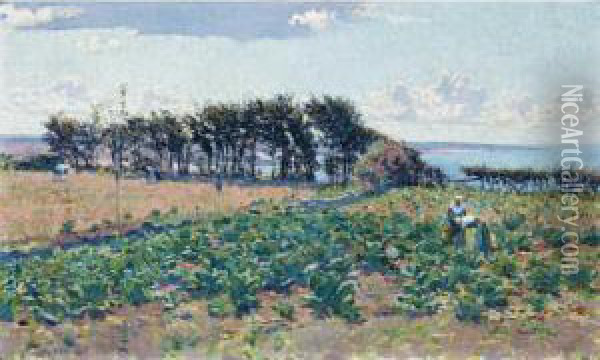 The Cabbage Patch Oil Painting - Emanuel Phillips Fox