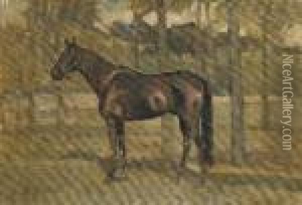 Cavallo Oil Painting - Ruggero Panerai