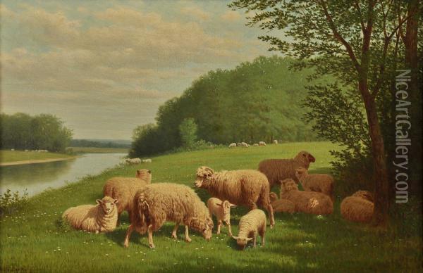 Landscape With Sheep Oil Painting - Samuel S. Carr