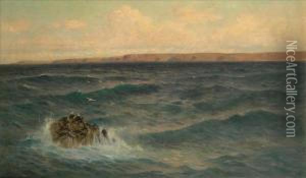 Coastal Scene With Gulls Oil Painting - William Edwards Croxford