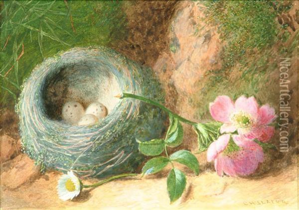 Stilllifes Of A Birds Nest On A Mossy Bank Oil Painting - Charles Henry Slater