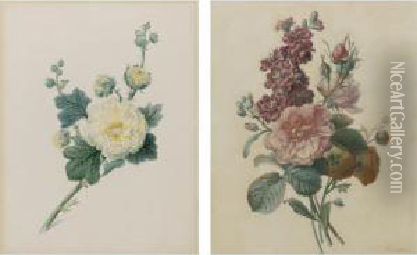Botanical Studies: A Pair Of Watercolors Oil Painting - Auguste Piquet De Brienne
