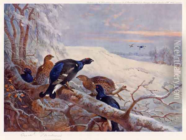 Blackgame in Winter 2 Oil Painting - Archibald Thorburn