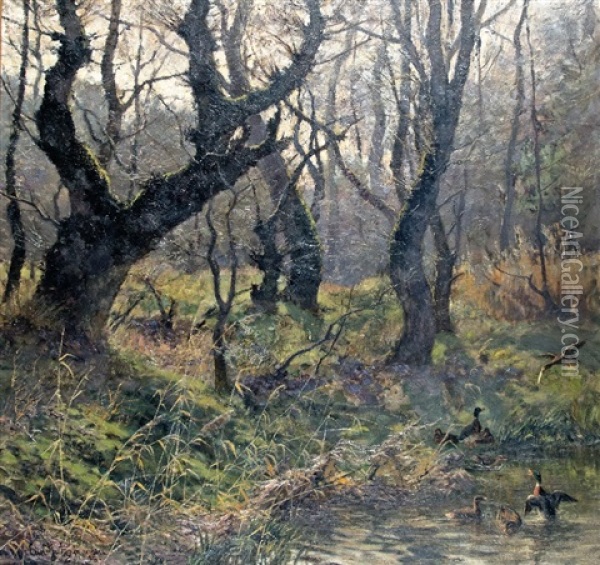 Marshland With Ducks (collab W/carl Jutz The Younger) Oil Painting - Carl Jutz the Elder