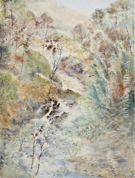 A Waterfall Thought To Be Near Capel Curig Oil Painting - William Huggins