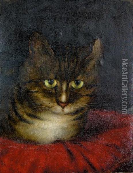 Katzenportrat. Oil Painting - Jane Inglis