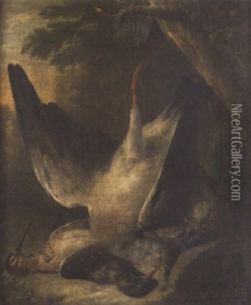 A Pigeon And Woodcock Hanging From A Tree Oil Painting - Charles Collins