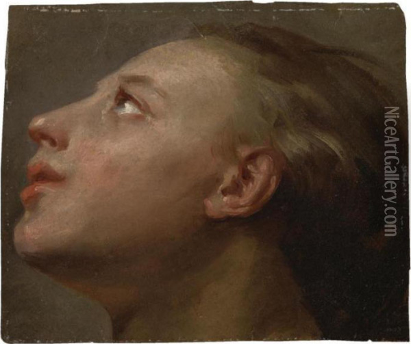 Head Of A Woman Looking Up Oil Painting - Gaetano Gandolfi